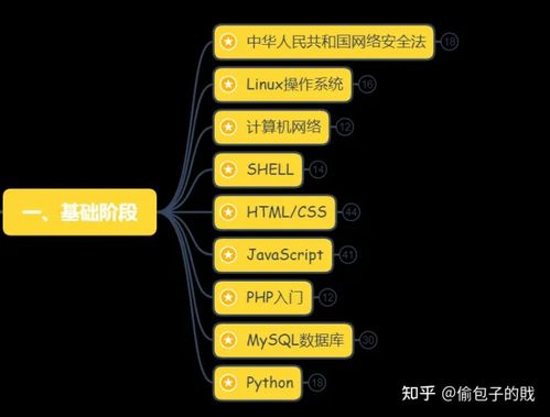 這才是CSDN最系統(tǒng)的網(wǎng)絡(luò)安全學(xué)習(xí)路線 建議收藏 網(wǎng)絡(luò)與信息安全軟件開(kāi)發(fā)